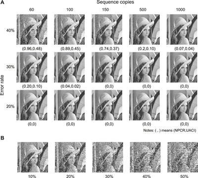 An image cryptography method by highly error-prone DNA storage channel